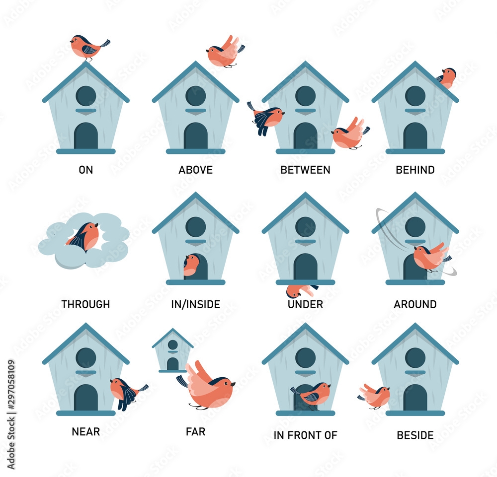 Bird And Birdhouse Learning Preposition Vector Isolated Stock Vector Adobe Stock