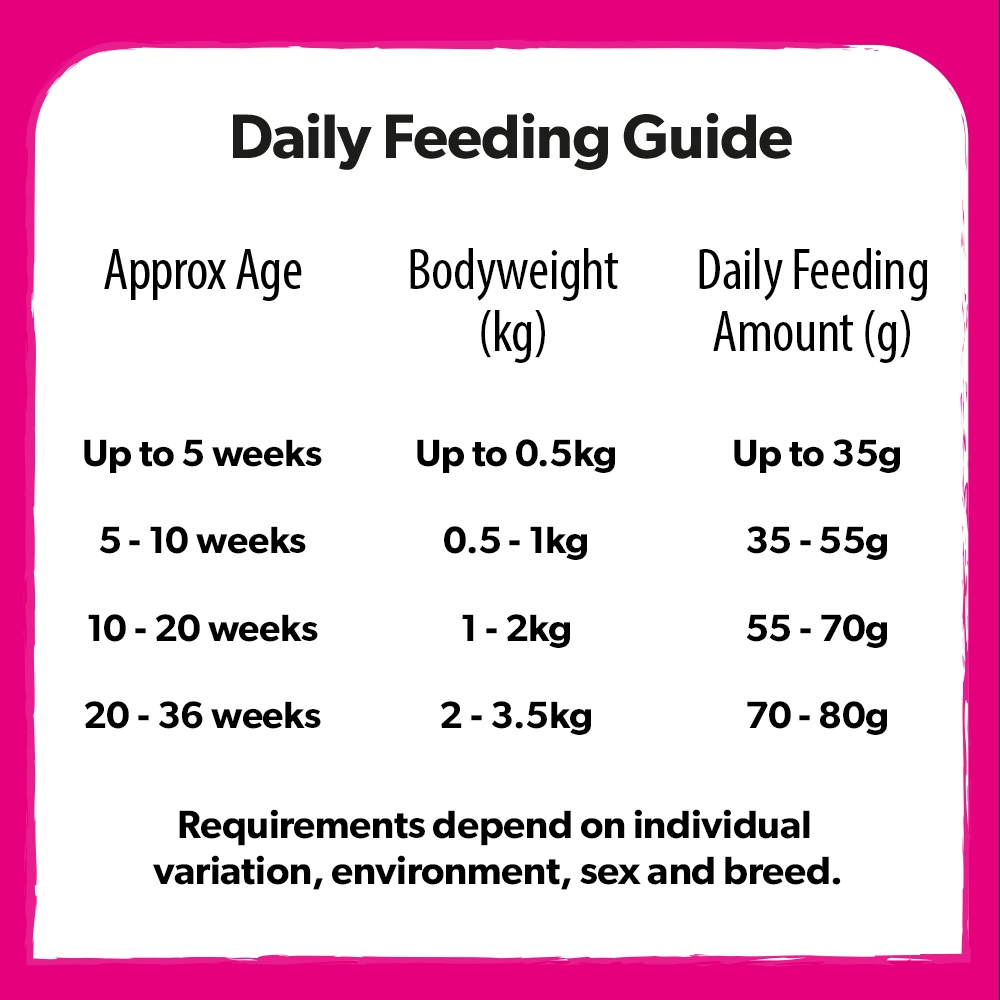 Printable Kitten Feeding Chart