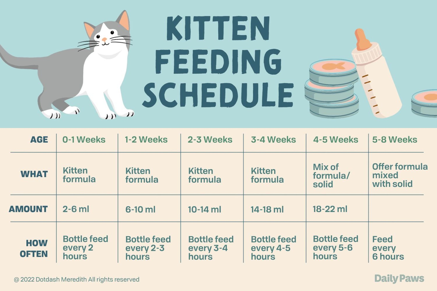 Kitten Feeding Chart By Weight Hotsell