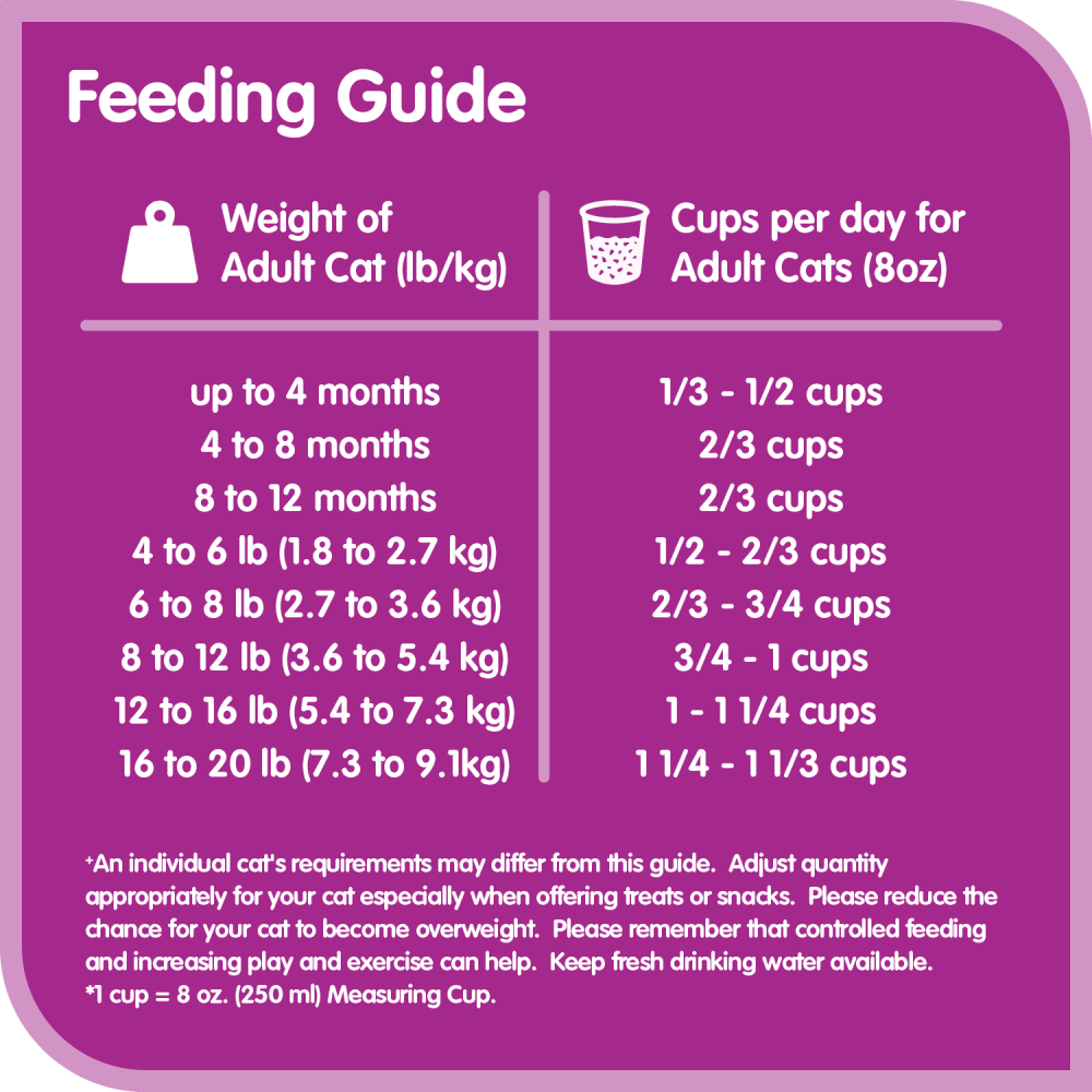 Kitten Food Amount Chart Discount