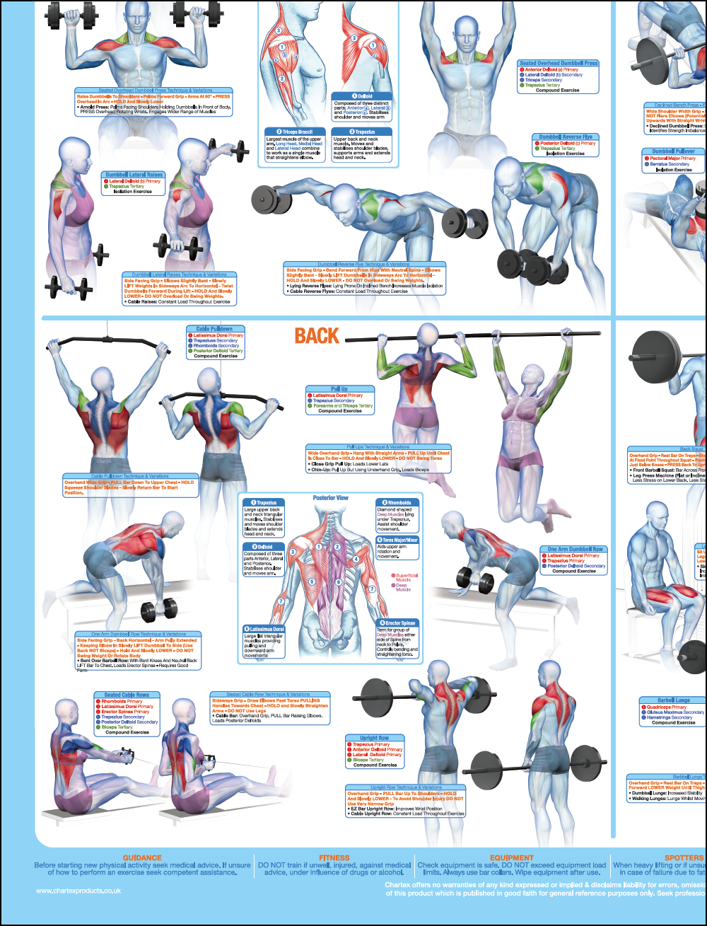 Laminated Bodyweight Exercise Poster Set For Home