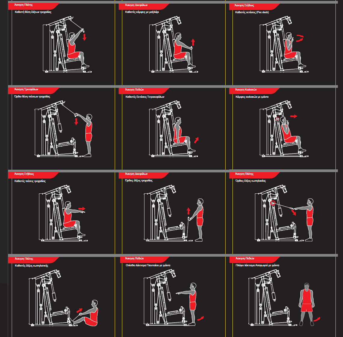 Pegasus MS 600 Home Gym MEKMA 