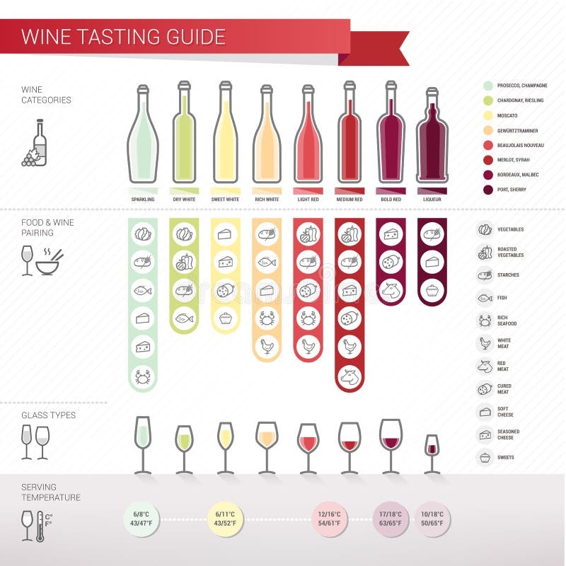 Wine Tasting Guide Stock Vector Illustration Of Sweets 42701692
